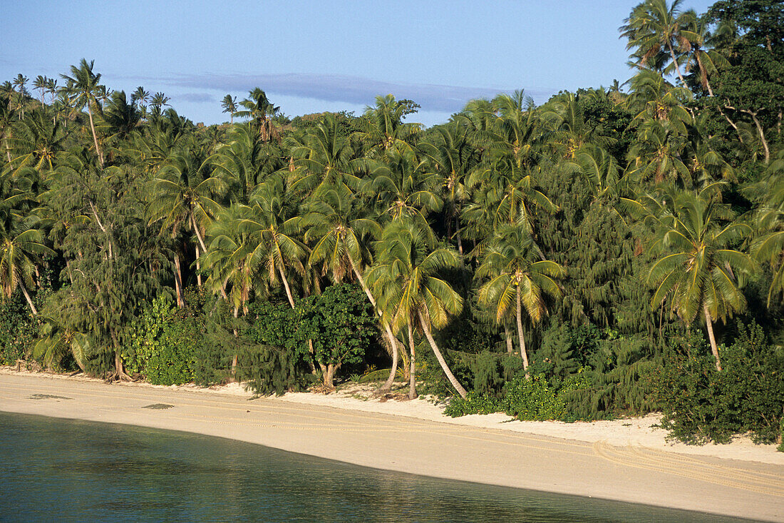 Strand bei Nanuya Lailai Island,Blue Lagoon Cruise, Yasawa Inseln, Fiji