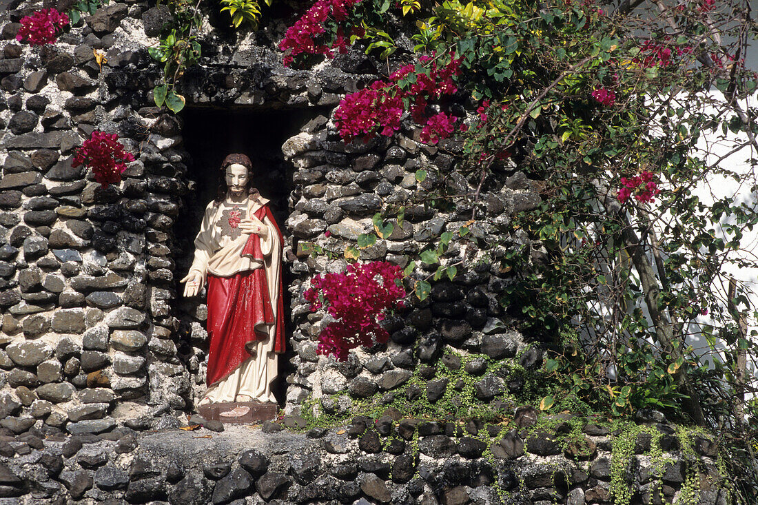 Christus Statue und Bougainvillea,Sacred Heart Catholic Church, Avarua, Rarotonga, Cook Inseln