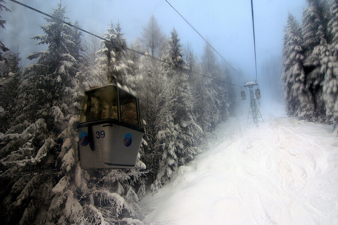 Gondola of a cablecar, Berchtesgadener Land, Bavaria, Germany