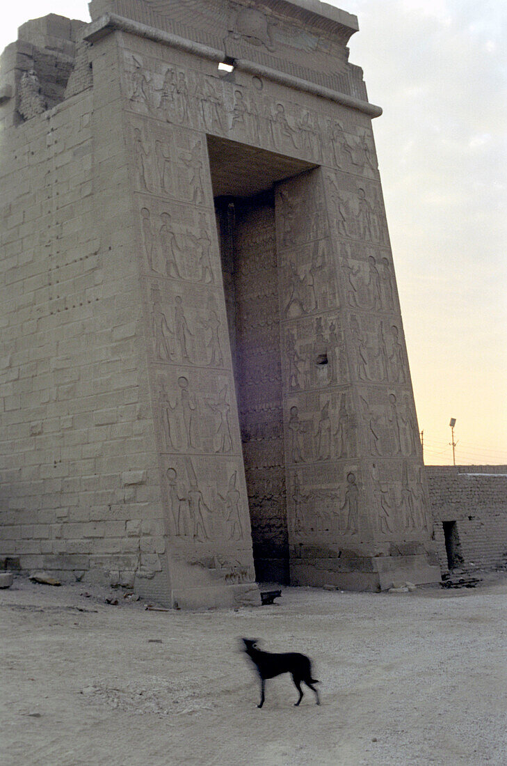 karnak tempel luxor, ägypten