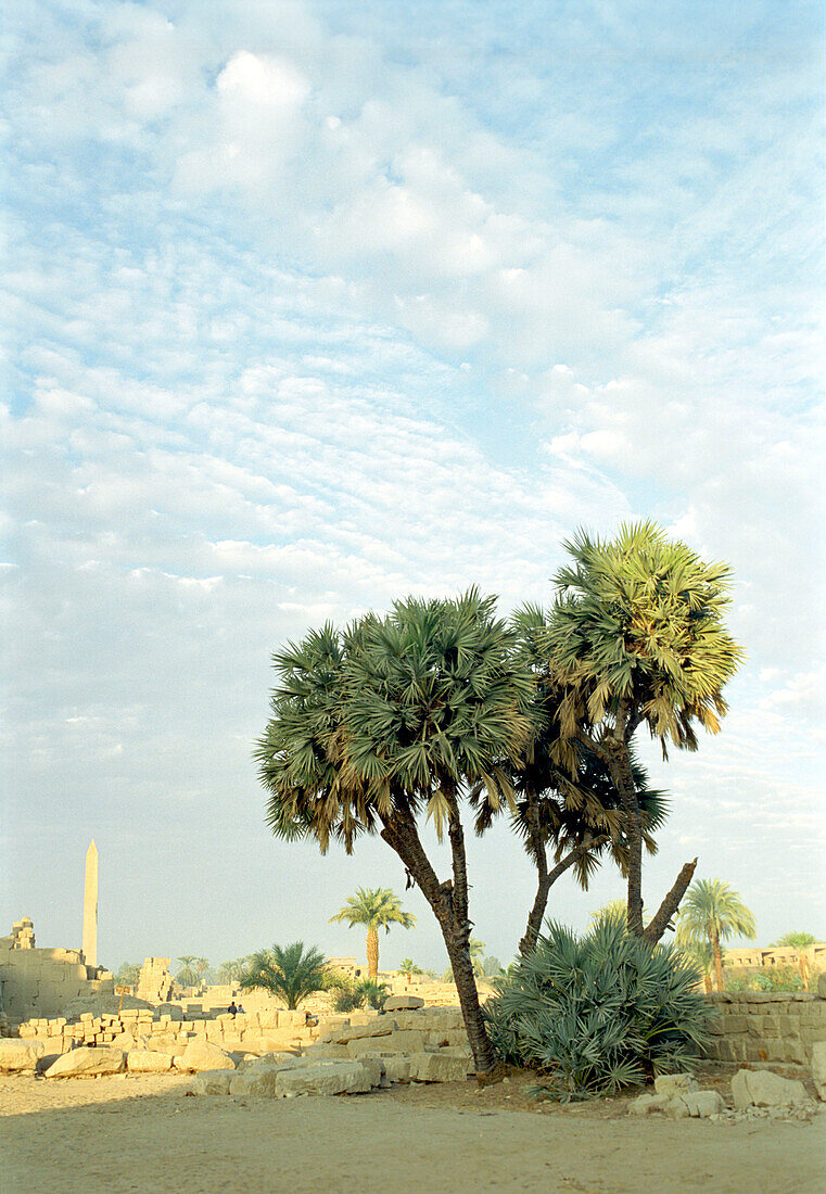 karnak tempel,  luxor , ägypten