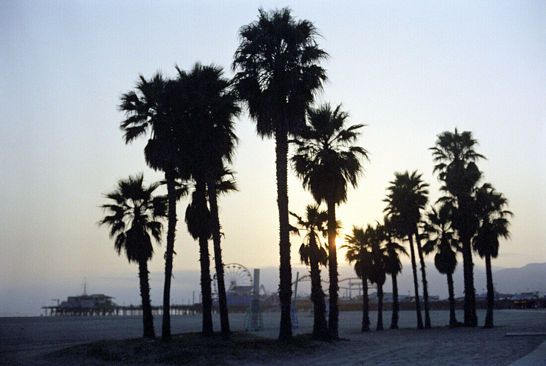 Palmen stehen vor dem Santa Monica Pier bei Sonnenaufgang, Santa Monica, Kalifornien, USA