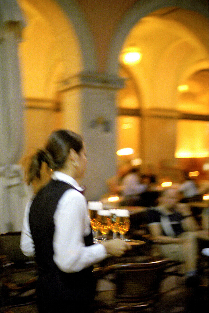 waitress, walterplatz, bozen, bolzano, south tyrol, italy