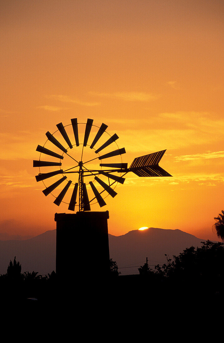 Windmühle, Casa Blanca, Mallorca, Balearen, Spanien