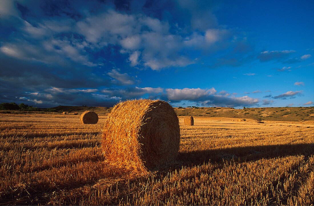 Weizenfelder mit Strohballen, Ernte bei Tafalla bei Pamplona Navarra, Spanien, Europa