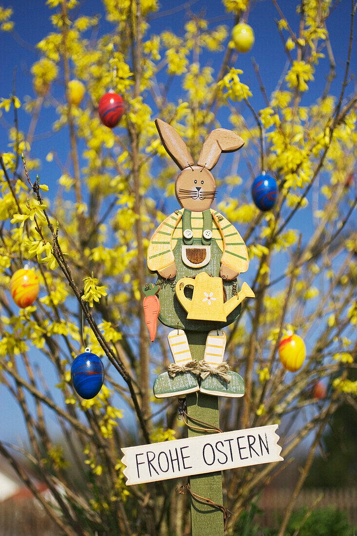 Bush with easter bunny and coloured eggs, Germany