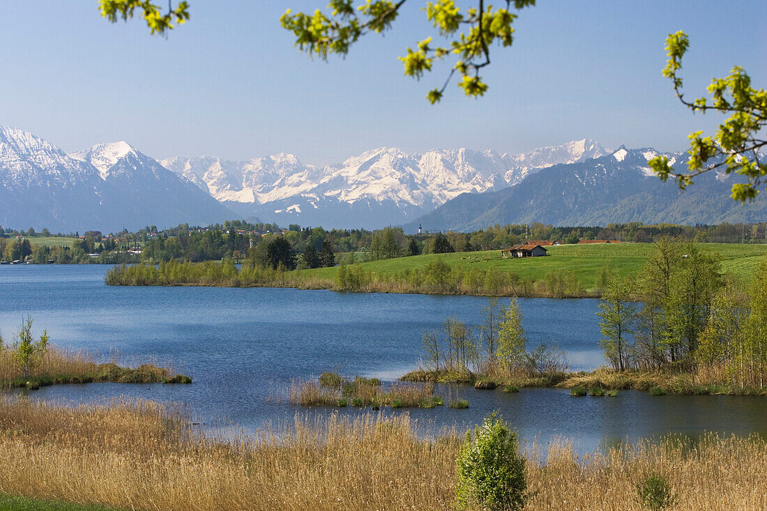 Lake Riegsee in front of Bavarian Alps, Upper Bavaria, Germany