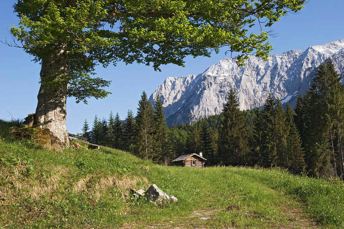 Hut in front of Wetterstein Mountains, Alps, Werdenfelser Land, Upper Bavaria, Germany