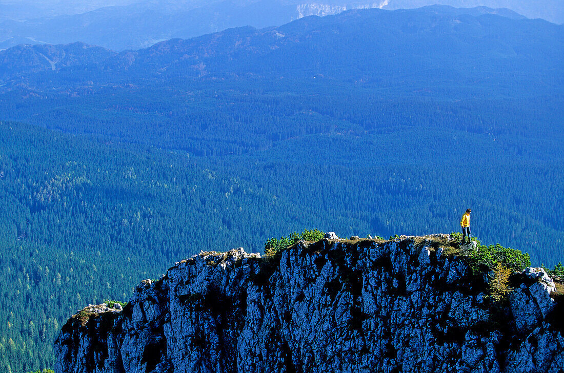 Frau wandert über einen ausgetzten Berggrat. Debela Pec, Hintergrund: Wald von Pokljuka, Triglav Nationalpark, Julische Alpen, Slowenien, Alpen,.