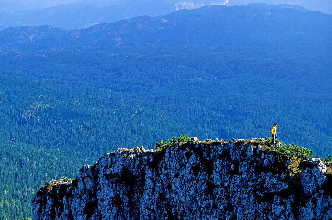 Woman hikes on an exposed mountain ridge, Debela Pec, Pokljuka forest in the backround, Triglav Nationalpark, Julian Alps, Slovenia, Alps