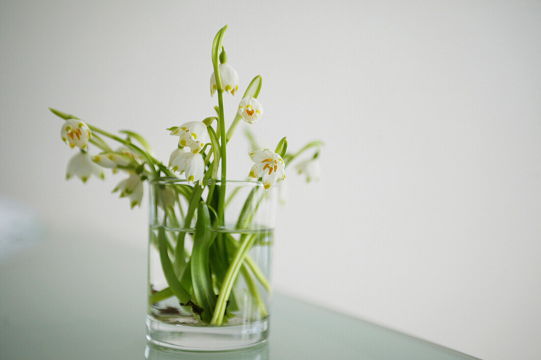 Bouquet of lilies of the valley in a glass