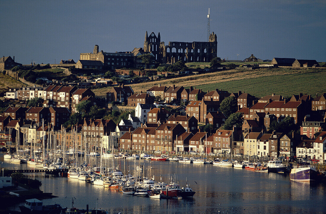 Blick über Whitby Abbey und Hafen, Landeplatz von Bram Stoker's Dracula, Yorkshire