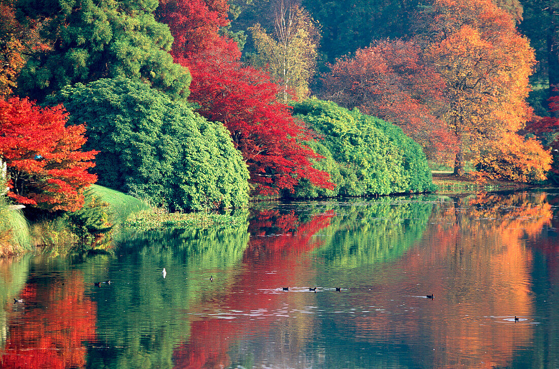 Sheffield Park Garden, East Sussex, England