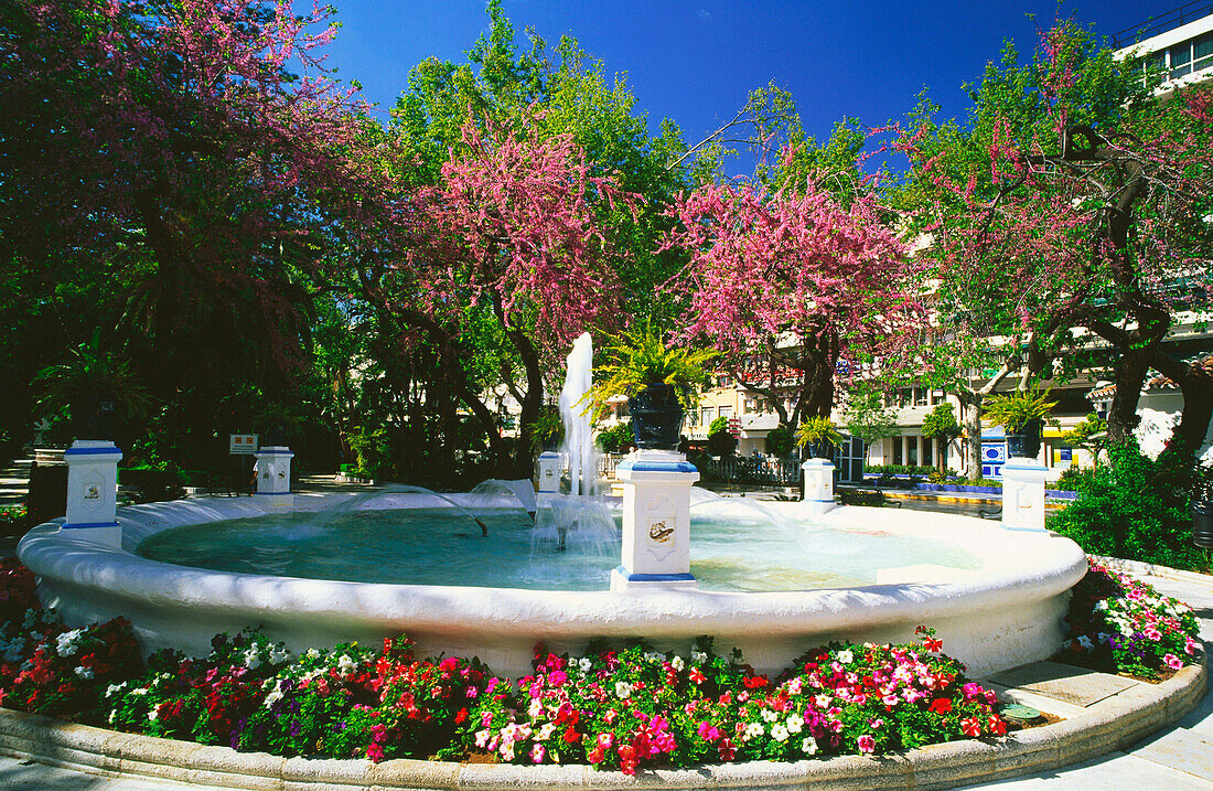 Municipal Park,Avenida Ramon y Cajal,Marbella,Province Malaga,Andalusia,Spain