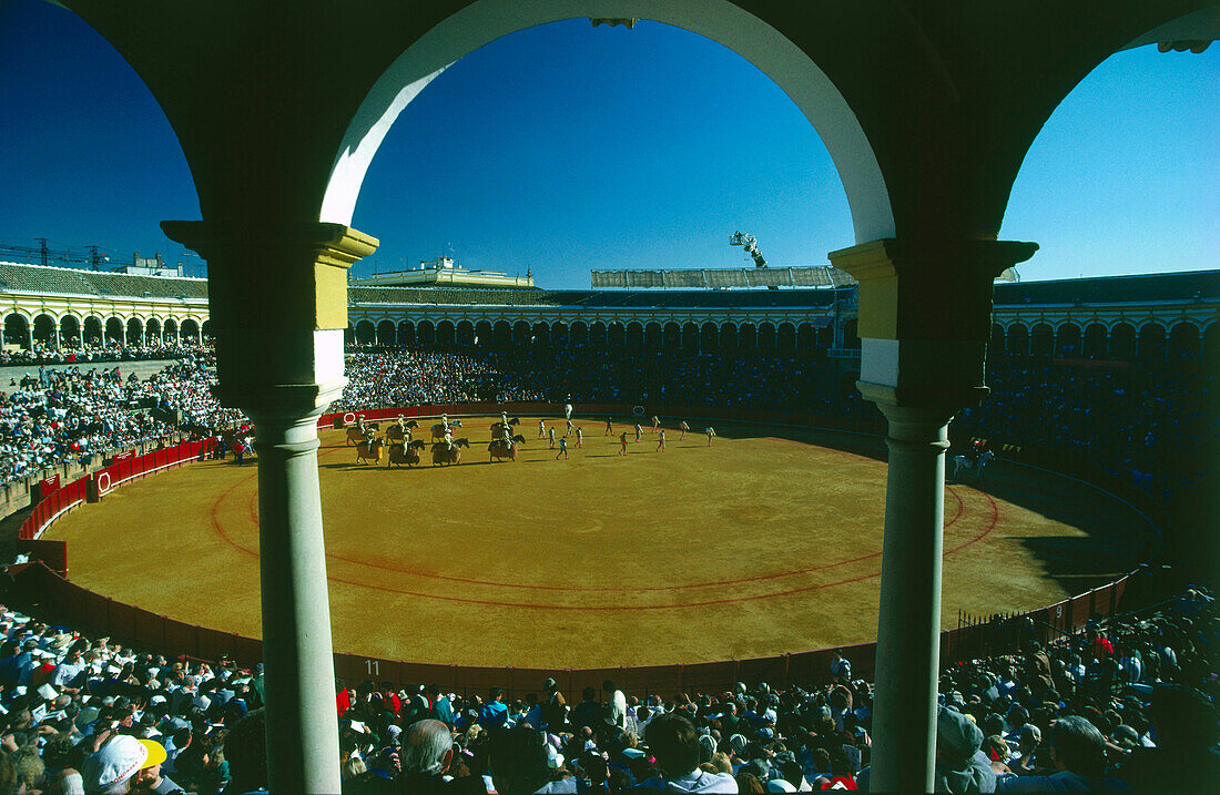 La Maestranza,Bull fighting arena,Bull fight,Sevilla,Andalusia,Spain