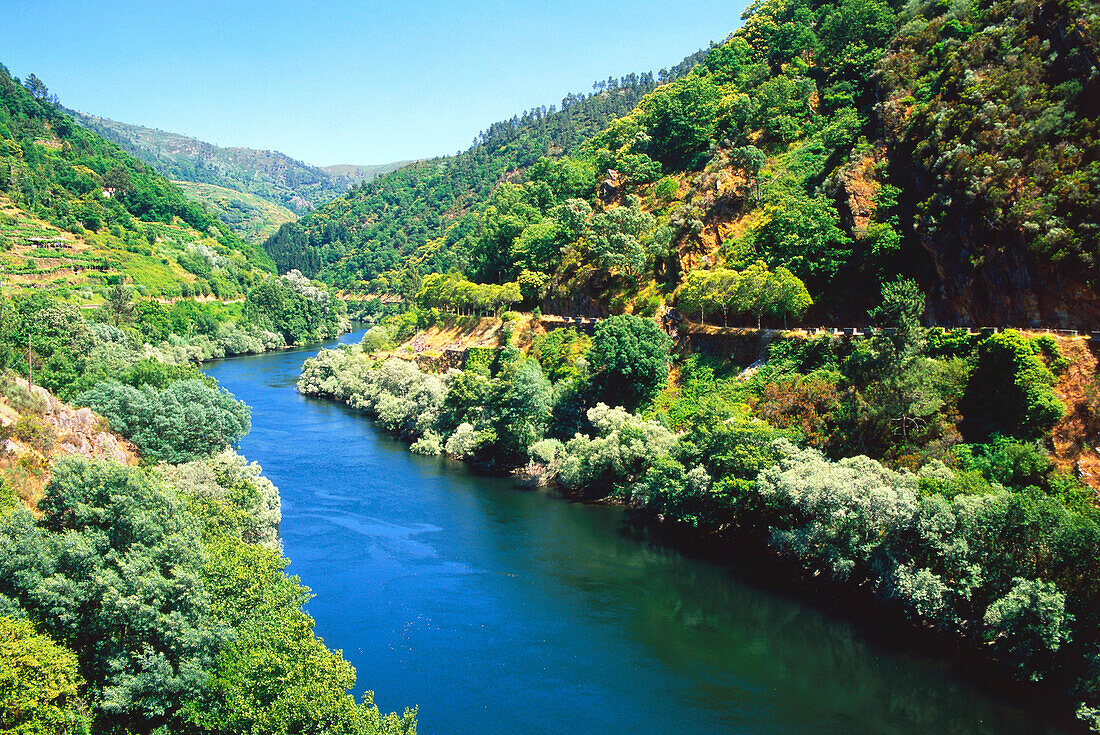 Gargantas del Sil, Tal des Rio Sil, bei Os Peares, Provinz Orense, Galicien, Spanien