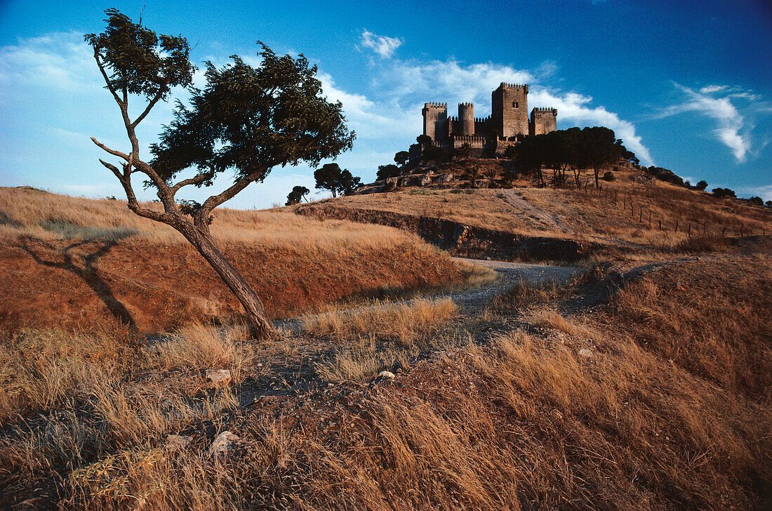 Castillo,Burg,Almodomar del Rio,Provinz Cordoba,Andalusien,Spanien