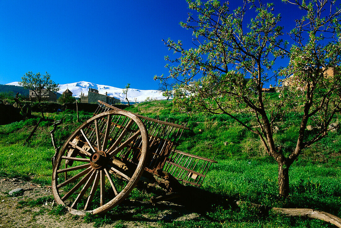 Carts near La Calahorra,Sierra Nevada,Province Granada,Andalusia,Spain