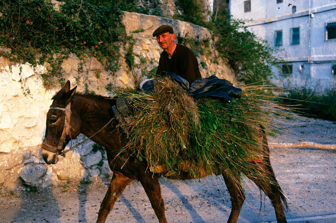 Farmer on a donkey,Lanjaron,Las Alpujarras,Province Granada,Andalusia,Spain