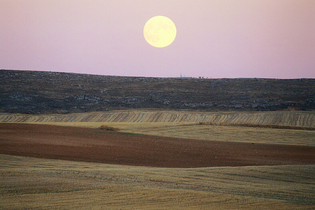 Mondaufgang,Felder,bei Ucles,Provinz Cuenca,Castilla-La Mancha,Spanien