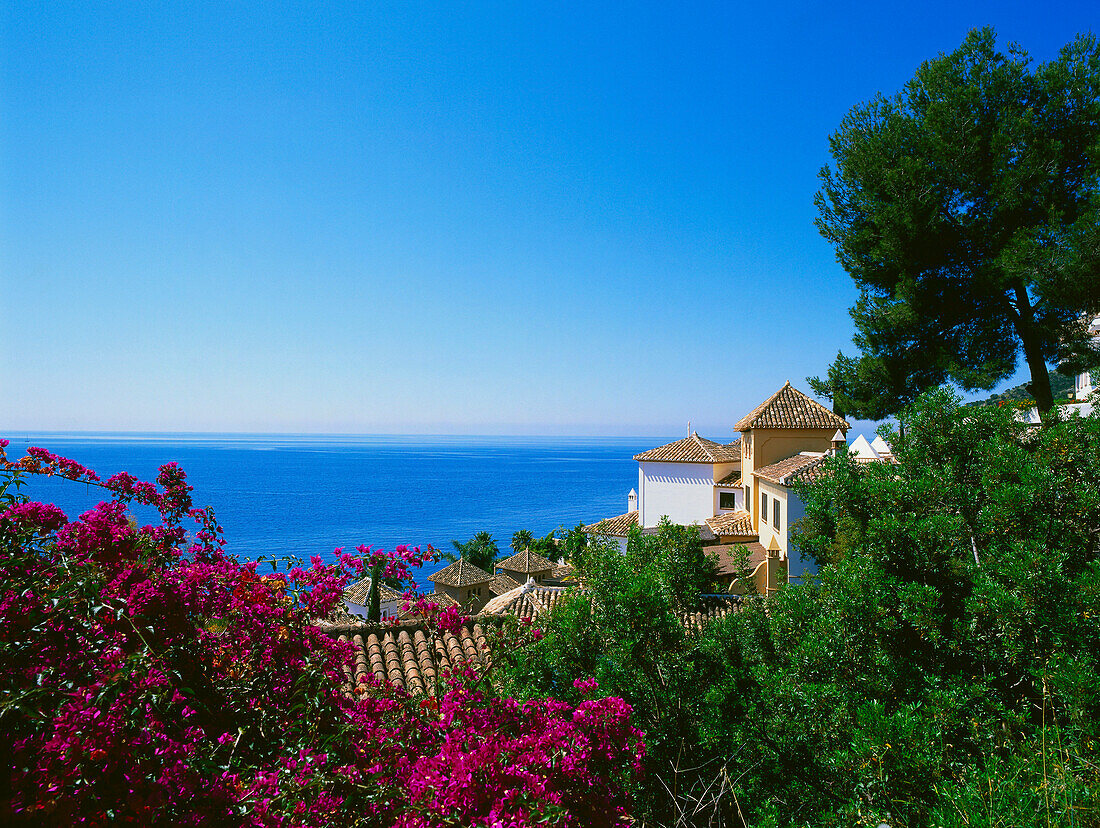 La Herradura, Villas, Bougainvillee, Costa del Sol, Province Granada, Andalusia, Spain