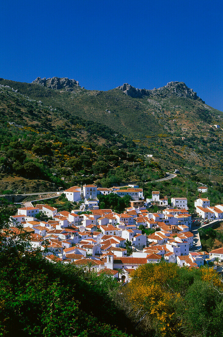 Benadalid,Weißes Dorf,Serrania de Ronda,Provinz Malaga,Andalusien,Spanien