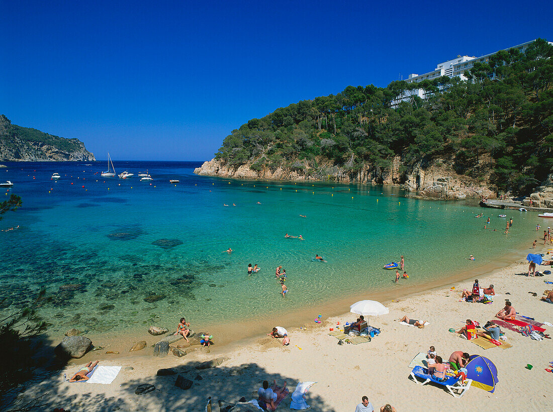 Strand,Cala,Aiguablava,bei Begur,Costa Brava,Provinz Girona,Katalonien,Spanien