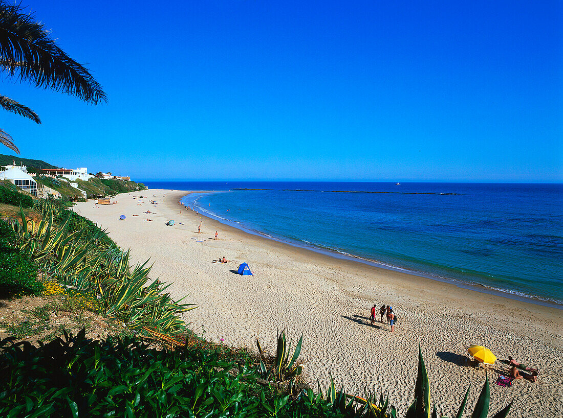 Strand,Playa,Los Canos de Meca,Costa de la Luz,Provinz,Cadiz,Andalusien,Spanien