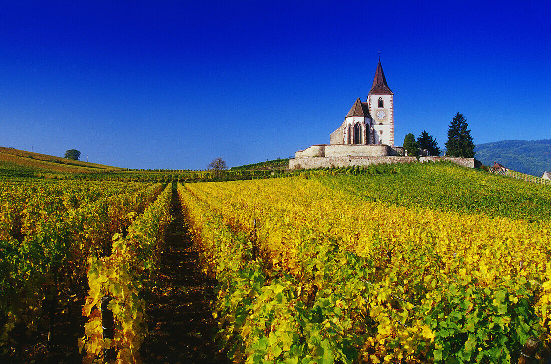 Kapelle in den Weinbergen bei Hunawihr,Elsass,Frankreich