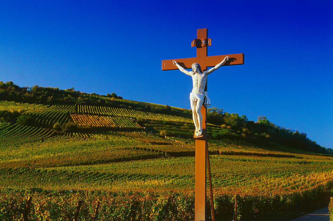 Kreuz im Weinberg bei Sigolsheim,Elsass,Frankreich
