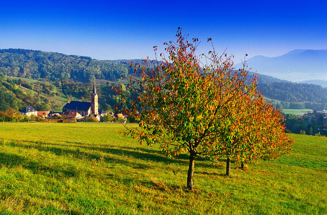 Breitenbach,Vogesen,Elsass,Frankreich