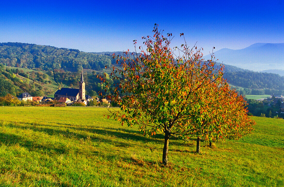 Breitenbach,Vosges,Elsass,France