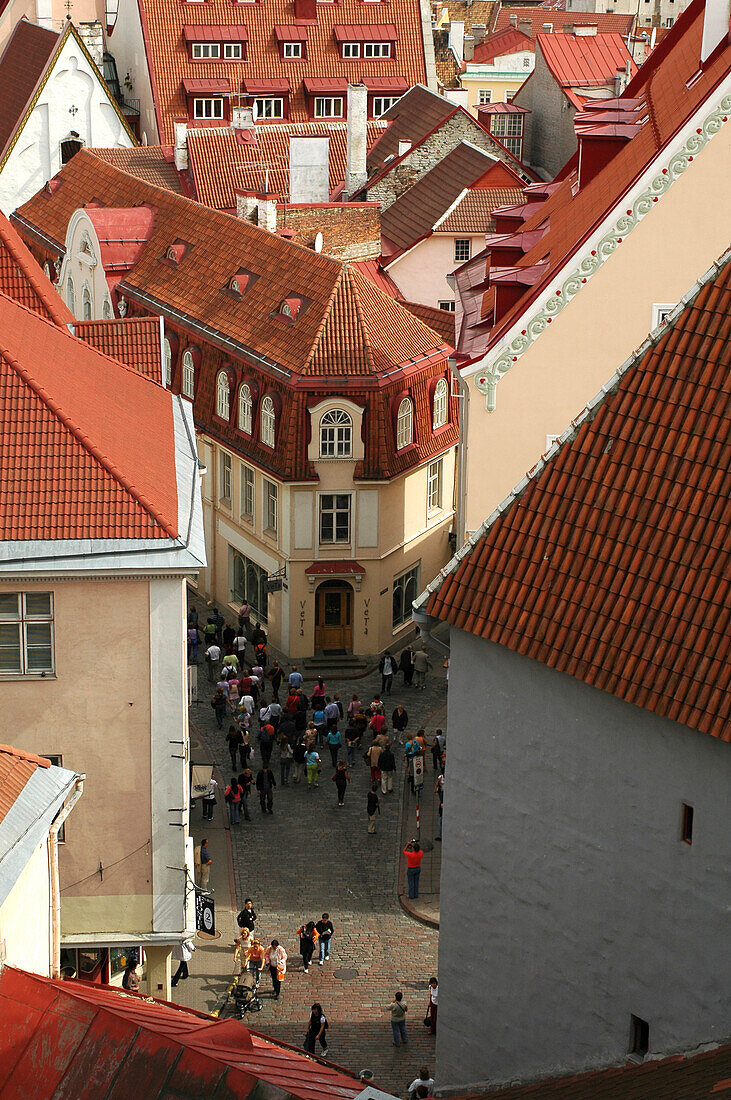 Blick vom Domberg auf die Altstadt, Tallinn, Estland