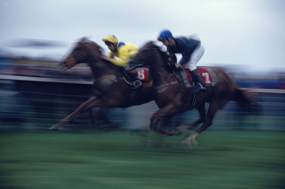 Jockeys at full speed at Dingle races, Dingle, County Kerry, Ireland