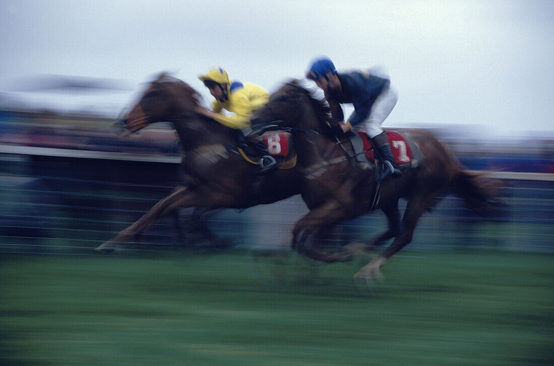 Rennreiter mit voller Geschwindigkeit, Dingle races, Dingle, County Kerry, Irland