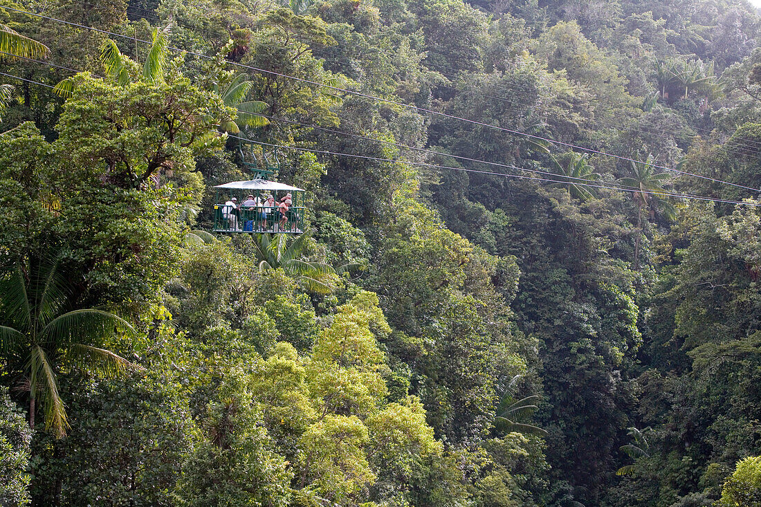 Dominica Rain Forest Aerial Tram, Morne Trois Piton National Park, Laudat, Dominica