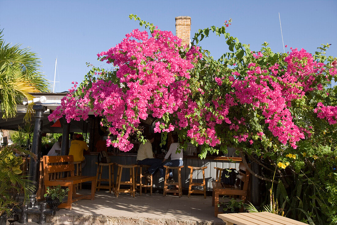 A bar covered with Bougainvillea, Nelson's Dockyard, English Harbour, Antigua