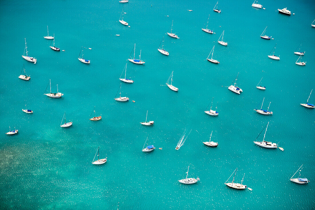Aerial photo of sailling boats,Falmouth Harbour, Antigua