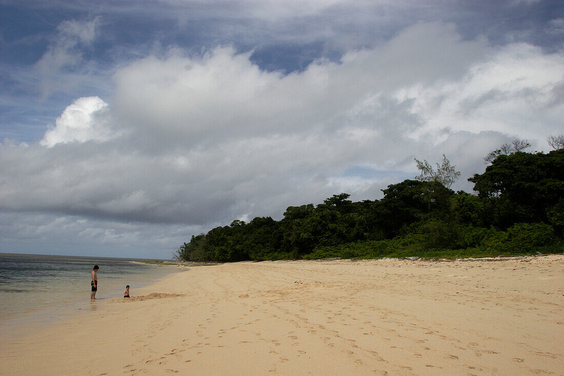 beach, father and son, child, Green Island, nearby Cairns, Great Barrier Reef, Tropical North, Queensland, Australia