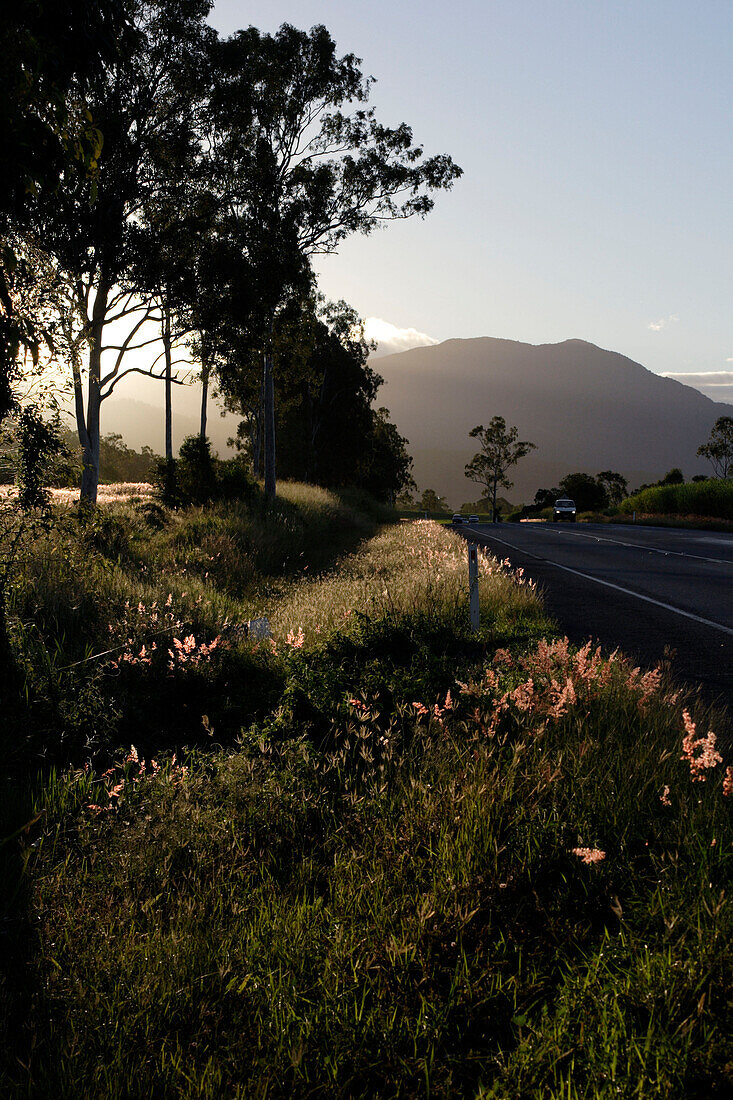 Country road in an idyllic landscape, Queensland, Australia