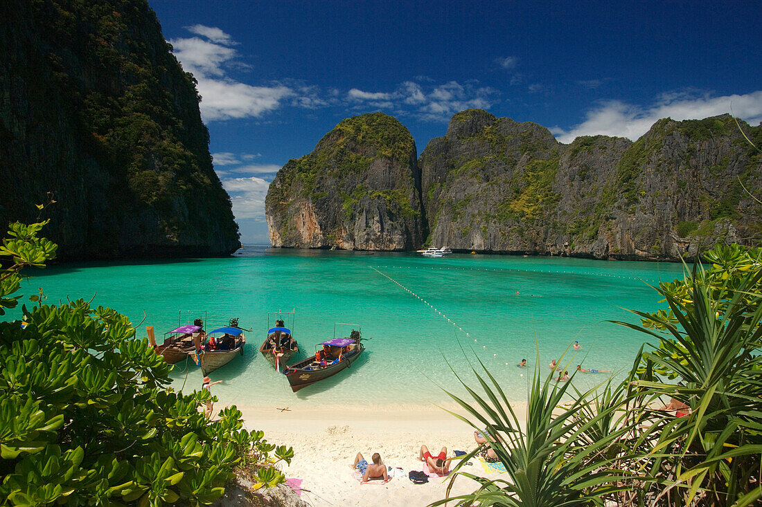 Blick über die Mayabucht, Ko Phi-Phi Leh, Ko Phi-Phi Islands, Krabi, Thailand (nach dem Tsunami)