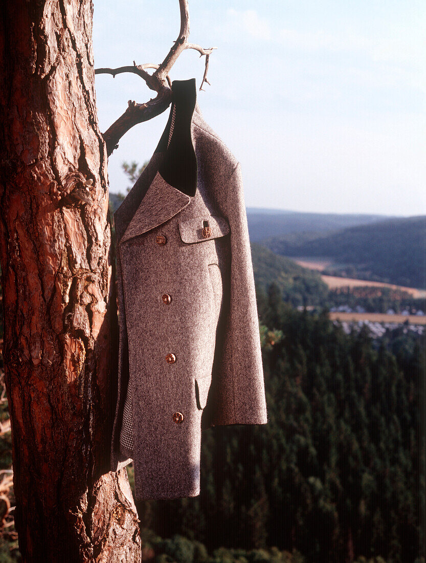 Traditional costume hanging at a branch, Germany, Eifel, Nideggen