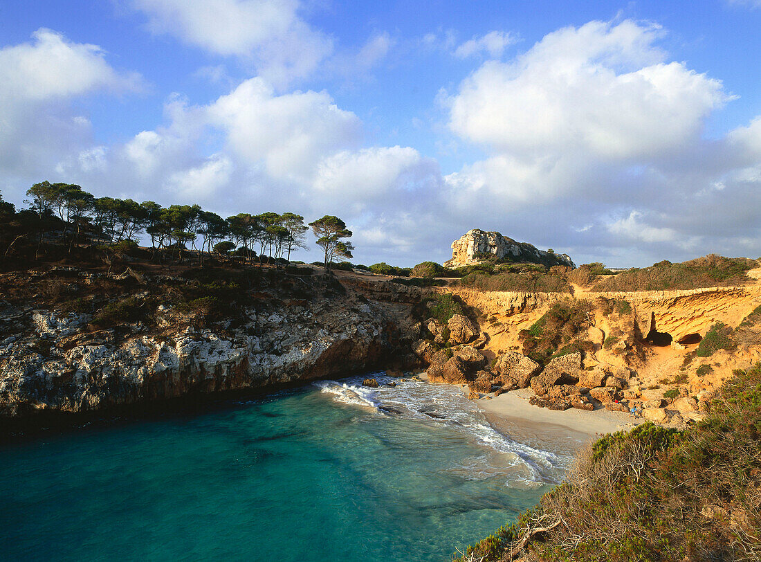 Blick über der Bucht Cala S'Amonia, bei Santanyi, Mallorca, Spanien