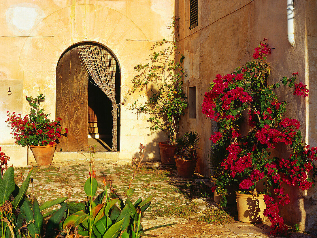 Finca Tourismus, Son Cladera, bei Pollenca, Mallorca, Spanien