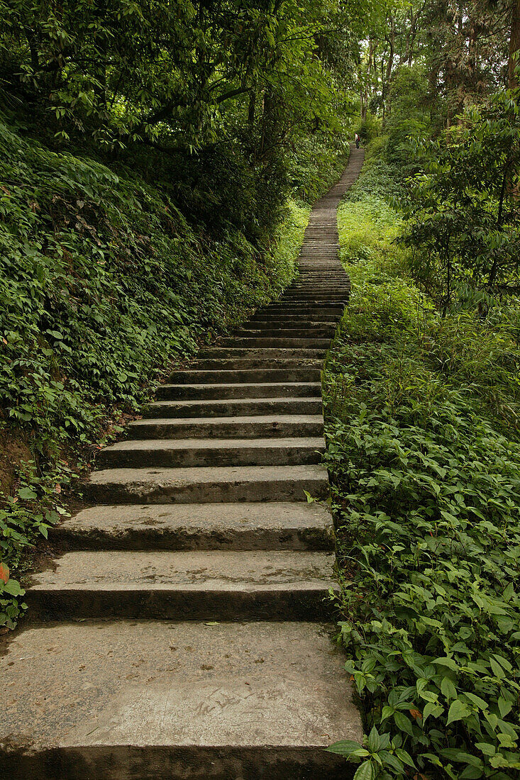 Pilgerweg und Treppen zum Gipfel, Emei Shan,Pilgerweg, Treppen, Berge Emei Shan, Provinz Sichuan, Weltkulturerbe, UNESCO, China, Asien