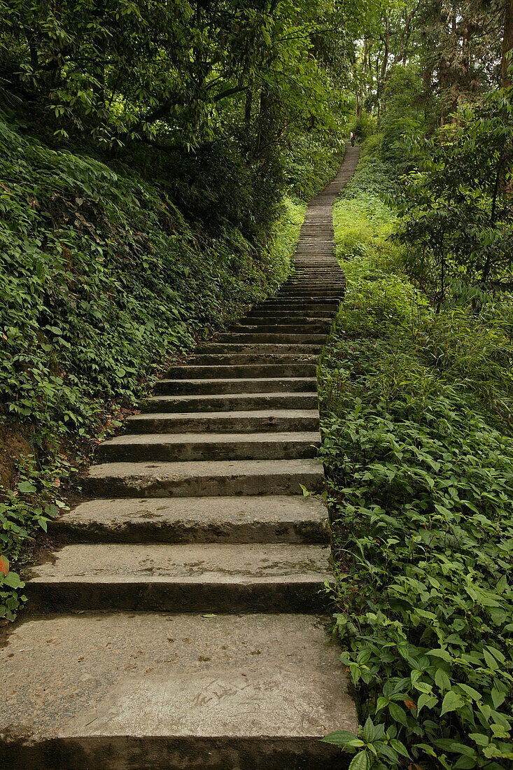 path and stairs, pilgrims, Mountains, Emei Shan, World Heritage Site, UNESCO, China, Asia