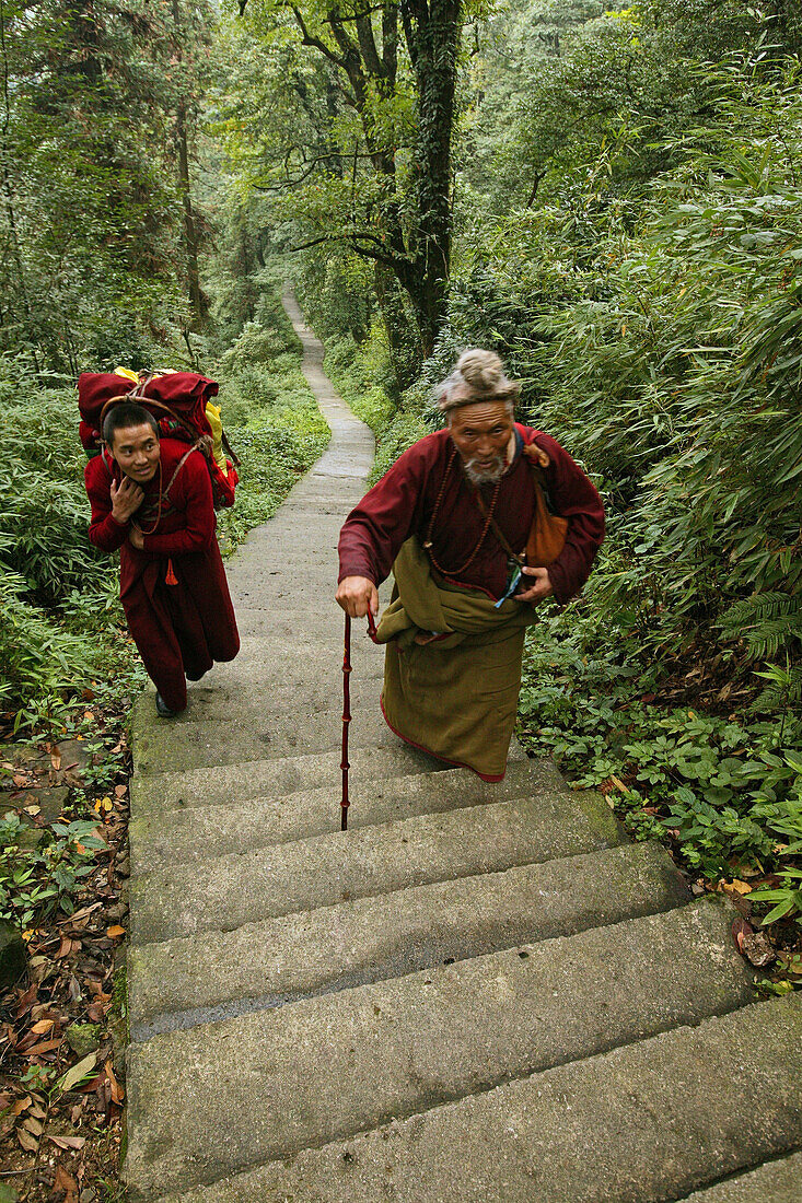 Pilger steigen Treppen im Wald hinauf, Emei Shan, Provinz Sichuan, China, Asien
