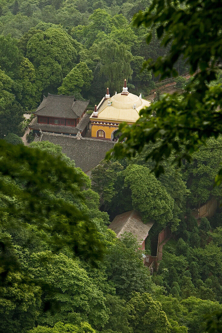 View at trees and roof tops of Wannian monastery, Emei Shan, Sichuan province, China, Asia