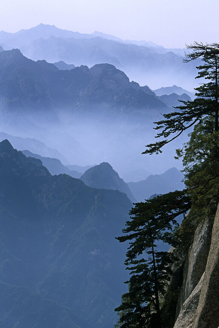 cliffs at south Peak, pine trees, mountain scenery, Hua Shan, Shaanxi province, Taoist mountain, China, Asia