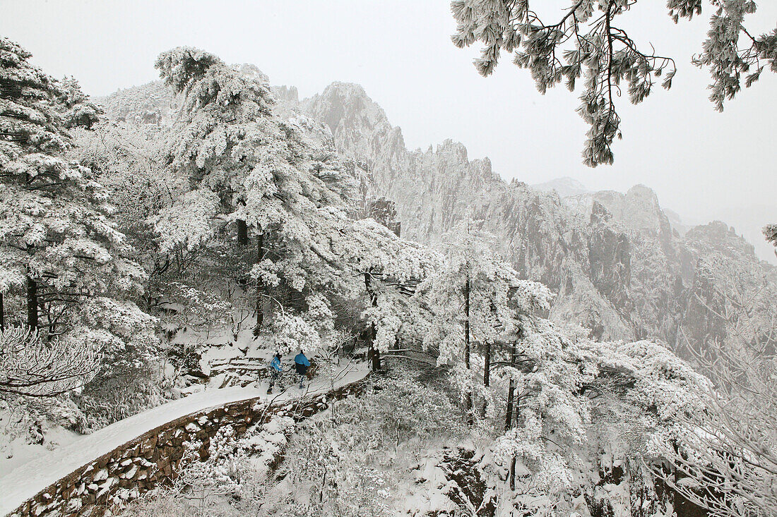 Bergweg im Schnee, Huang Shan,Wanderer auf verschneitem schmalem Bergpfad, Schneeberge, Winterlandschaft, Huang Shan, Anhui province, UNESCO, Weltkulturerbe, China, Asien